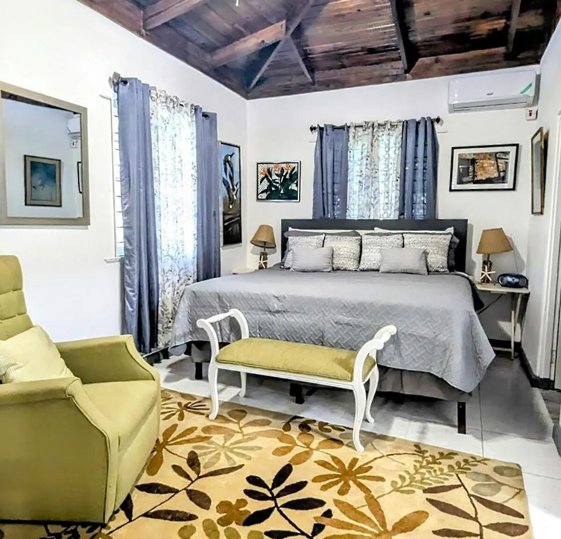 Vista Azul Entire Home With Free Parking Cornwall Barracks Jamaica